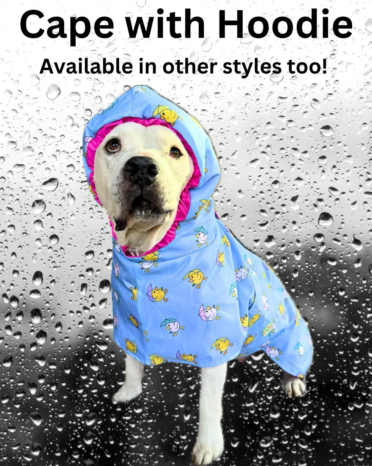 All Over Print Rain Jacket - Cape - Vest (Choose your print)