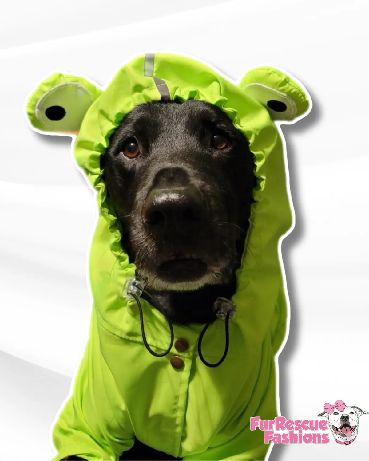 Froggy Rain Jacket - Cape - Vest