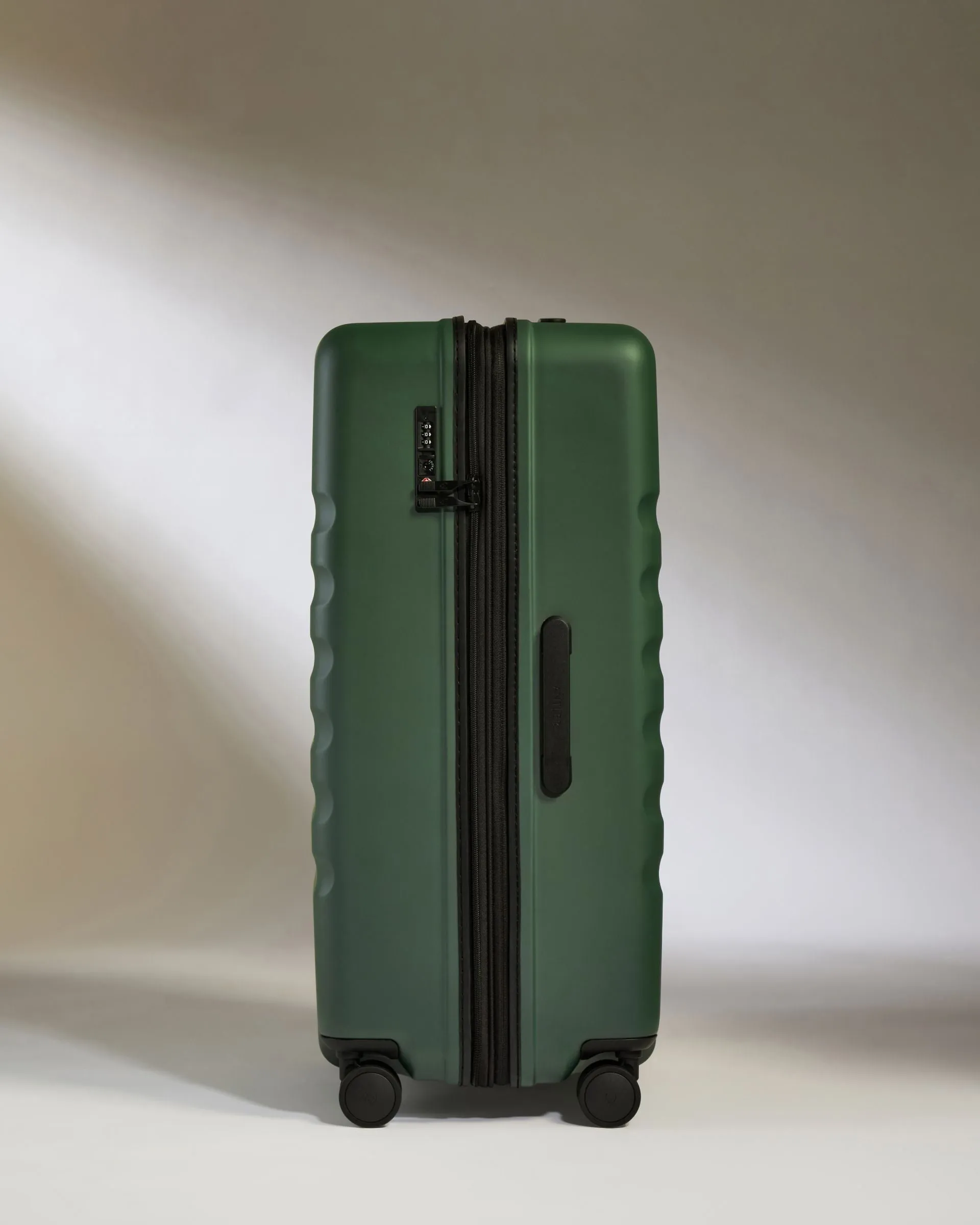 Large Luggage in Antler Green - Icon Stripe