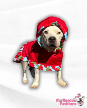 Solid Color Rain Jacket - Cape - Vest with Printed Ruffles, Trim & Hoodie/Snood (Choose your print) (Copy)