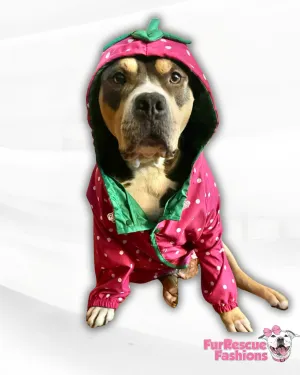 Strawberry Reversible Rain Jacket Or Cape